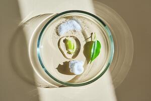 A swatch with textures of several skin care products in a petri dish on a beige background. photo