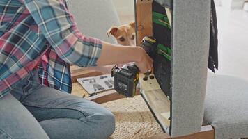 Woman unscrewing screw from inside of cushioned chair using power drill with dog visible in background video