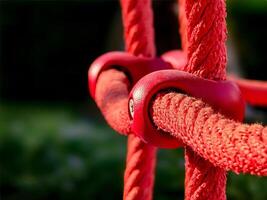 Close-up of Red Rope with Plastic Connectors photo