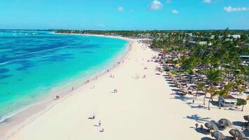 Aerial view of an all-inclusive hotel beach on a bright sunny day in Punta Cana video