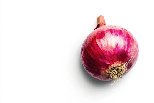 onion is shown on white background photo
