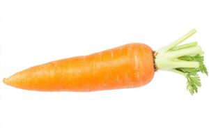 a single carrot on a white background photo