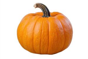 a single orange pumpkin on a white background photo