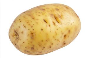 a potato is shown on a white background photo