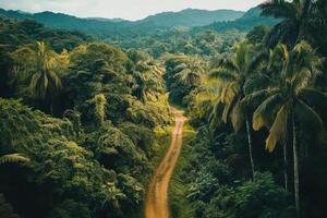 un suciedad la carretera en el selva foto