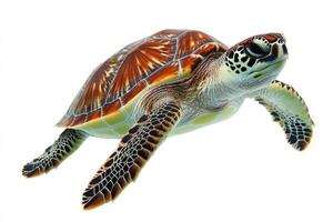 a green sea turtle swimming in the ocean photo