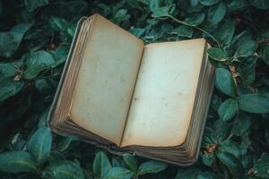 an old book is sitting on top of some green leaves photo