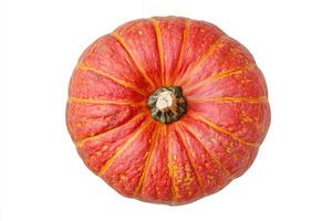 a red and yellow pumpkin on a white background photo