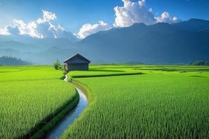 a house in a rice field with mountains in the background photo