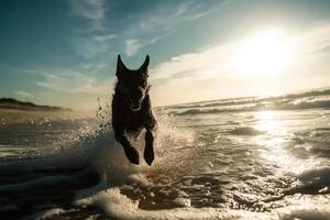 a black dog running through the water at the beach photo