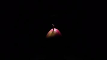 Ripe mango fruit gyrating in black background with intimate light video