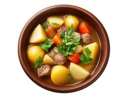 A bowl of stew with potatoes and meat photo
