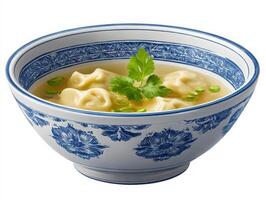 A bowl of soup with dumplings in it photo