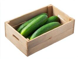 Cucumbers in wooden box on white background photo
