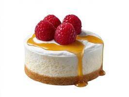 A cheesecake with raspberries and caramel sauce photo
