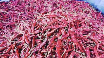 Fresh Red Peppers Neatly Piled and Displayed for Sale at a Local Market, Showcasing Vibrant Color and Fresh Organic Produce video