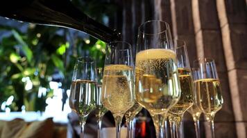 derramando champanhe para dentro múltiplo óculos às uma festivo celebração, fechar-se Visão do espumante vinho ser servido às uma luxo evento com verde plantas e borrado fundo video