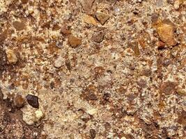 Close-Up of Textured Rock Surface.Coarse fossil-like stone texture with embedded mineral fragments photo