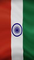 India Waving Flag in Vertical Orientation. Realistic Flag Animation. Seamless Loop Background. video