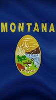 Montana State Waving Flag in Vertical Orientation. Realistic Flag Animation. Seamless Loop Background. video