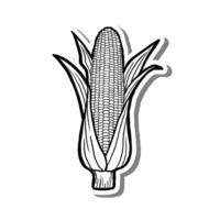 Hand Drawn Slim Corn with Leaves Element Outline on White Silhouette and Gray Shadow. Illustration about Fruit. vector