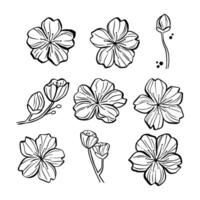 Set of Sakura Line for decoration crafts project, card, background and any design. illustration about botanical nature. vector