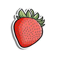 Hand Drawn Single Red Strawberry Element Outline. Illustration about Fruit. vector