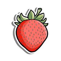 Hand Drawn Red Strawberry Element Outline. Illustration about Fruit. vector