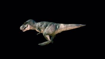 T-Rex Dinosaur Running Side View video