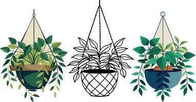 Hanging Plants A collection of illustrations vector