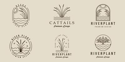 set of river plant reed logo line art simple illustration template icon graphic design. bundle collection of various cattails grass nature sign or symbol for environment natural concept vector