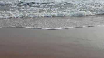 Soothing view of waves crashing on beach video