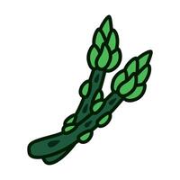 Color icon of fresh asparagus vegetable in playful and modern illustration style. for logo, infographic, ads, print, UI, web design and mobile apps vector