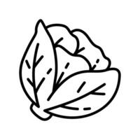 Simple Outline Icon Pack of Leafy Cabbage for Healthy Eating and Vegan Recipes vector