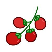Color icon of sweet cherry tomatoes fruit in playful and modern illustration style. for logo, infographic, ads, print, UI, web design and mobile apps vector
