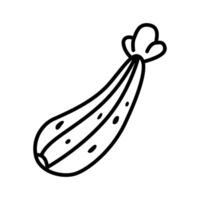 Minimal Icon Set of Zucchini Squash for Vegan Recipes and Fresh Summer Cooking vector