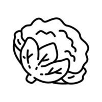 Minimalist Line Icon Set of Cauliflower for Keto, Low-Carb, and Vegan Food Designs vector