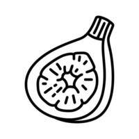 Doodle Style Icons of Figs Fruits for Winter Snacks and Vitamin C Concepts vector