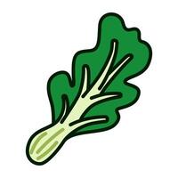 Color icon of fresh Chinese cabbage vegetable in simple and contemporary flat design. for infographics, logo, print, mobile apps, web, UI, and digital ads vector