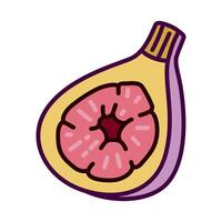Color icon of ripe fig fruit in clean and modern flat illustration style. for logo, infographic, ads, print, UI, web design and mobile apps vector