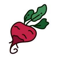 Color icon of fresh beet vegetable in minimal and clean design style. for mobile apps, UI, web design, print, logo, infographic, and ads vector