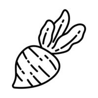 Minimal Line Icons of Fresh Radish Root Vegetables for Garden, Cooking, and Nutrition Themes vector
