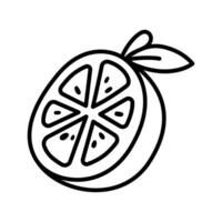 Doodle Style Icons of Tangerine Citrus Fruits for Winter Snacks and Vitamin C Concepts vector