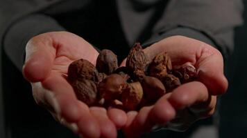 woman wearing hijab stands lively market showcasing collection of argan nuts in her open hands. atmosphere is warm and vibrant various stalls around video