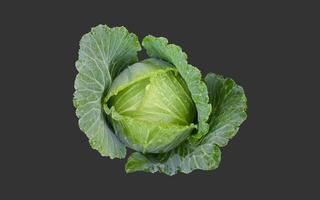 Isolated green cabbage head on dark background with clipping path photo