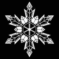 Geometric Snowflake White On Black Design vector