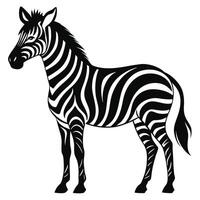 Monochrome Zebra Standing Isolated Illustration vector