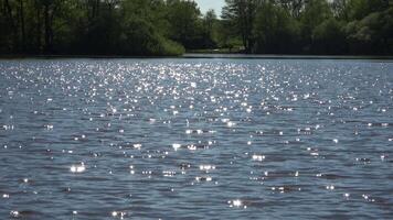 Bright sunlight reflecting and sparkling across tranquil lake surface, surrounding trees casting soft shadows on glistening water during peaceful summer day. video