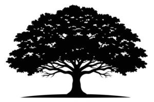 Tree Silhouette Isolated On White Background vector