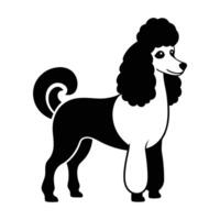 Elegant Poodle Silhouette Simple Illustration vector